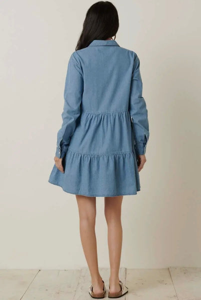 Button Down Denim Dress
