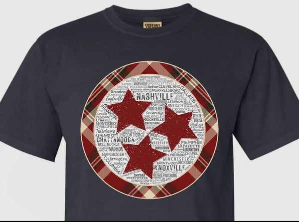 FINAL SALE Charcoal Plaid Tristar Cities Tee