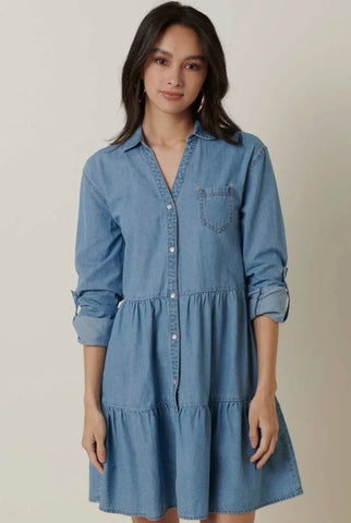 Button Down Denim Dress