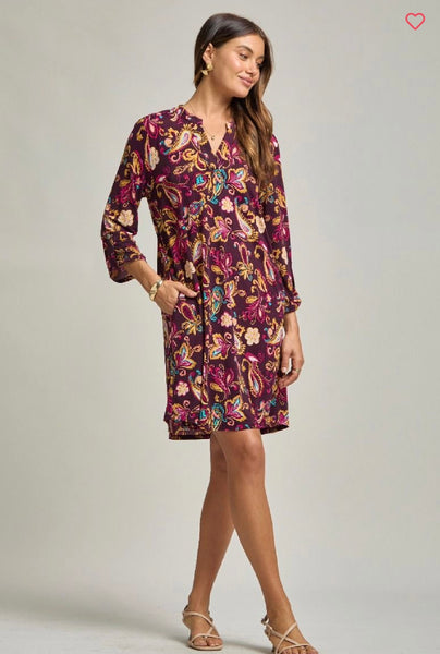 Wine Multi Paisley Pocket Dress