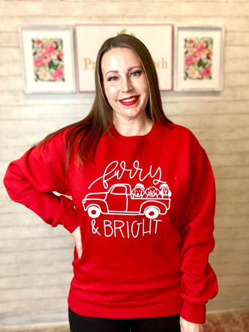 FINAL SALE Furry & Bright Sweatshirt