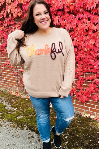 Feeling Thankful Taupe Pop Up Glittery Embroidery Sweater - Online Only!